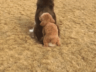 20190610_154776_1560139597859.gif