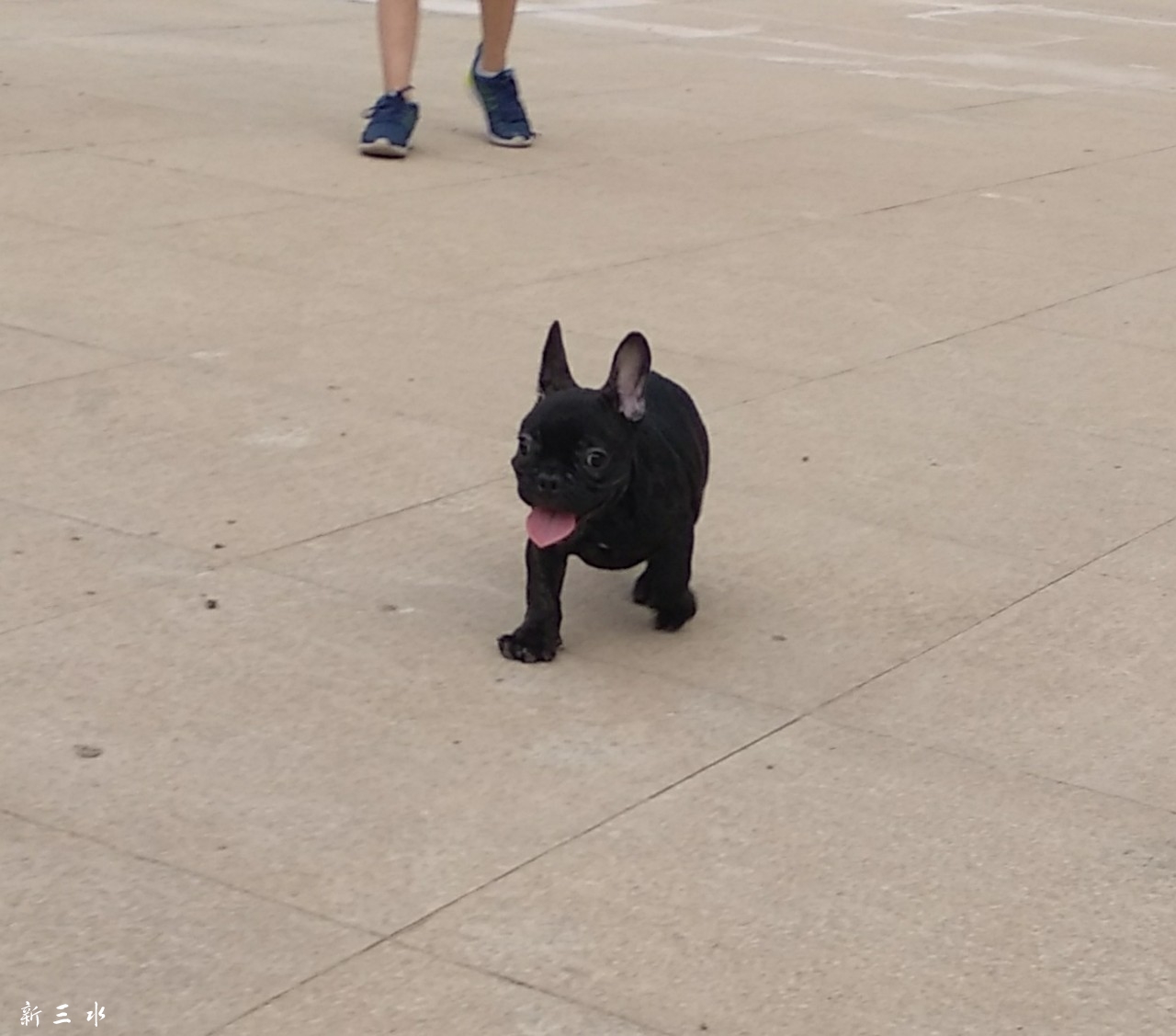 20190627_187251_1561595439655.jpg