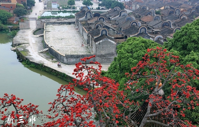 becacc082a3d70734d7d12bc39f63548.jpg