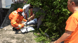 d697153c6af5c65d690e3429cd9c36cc.gif