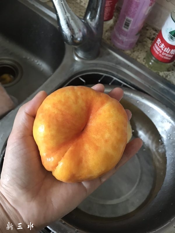 20190807_197561_1565148616410.jpg