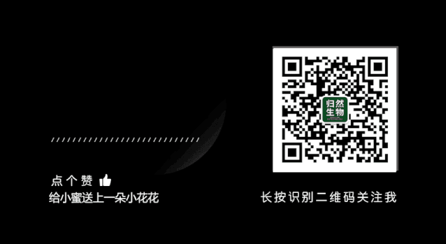 51eb6aae1f9f33b9ebe52725d15b0b98.gif