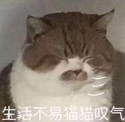 微信图片_20191023155203.jpg