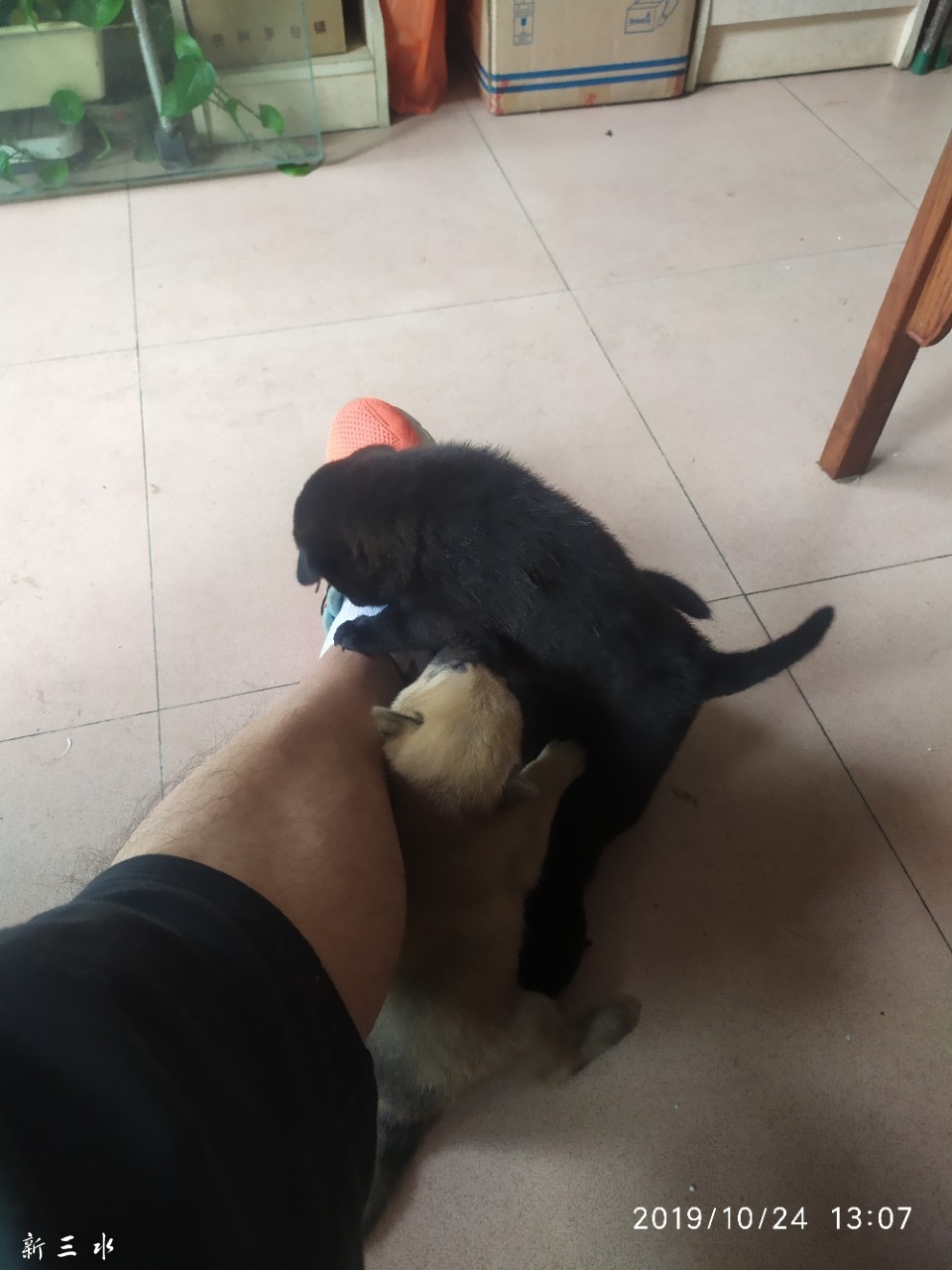 20191024_173058_1571894484031.jpg