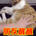 cef30218247efd5ad6846bf56c9d7512.gif