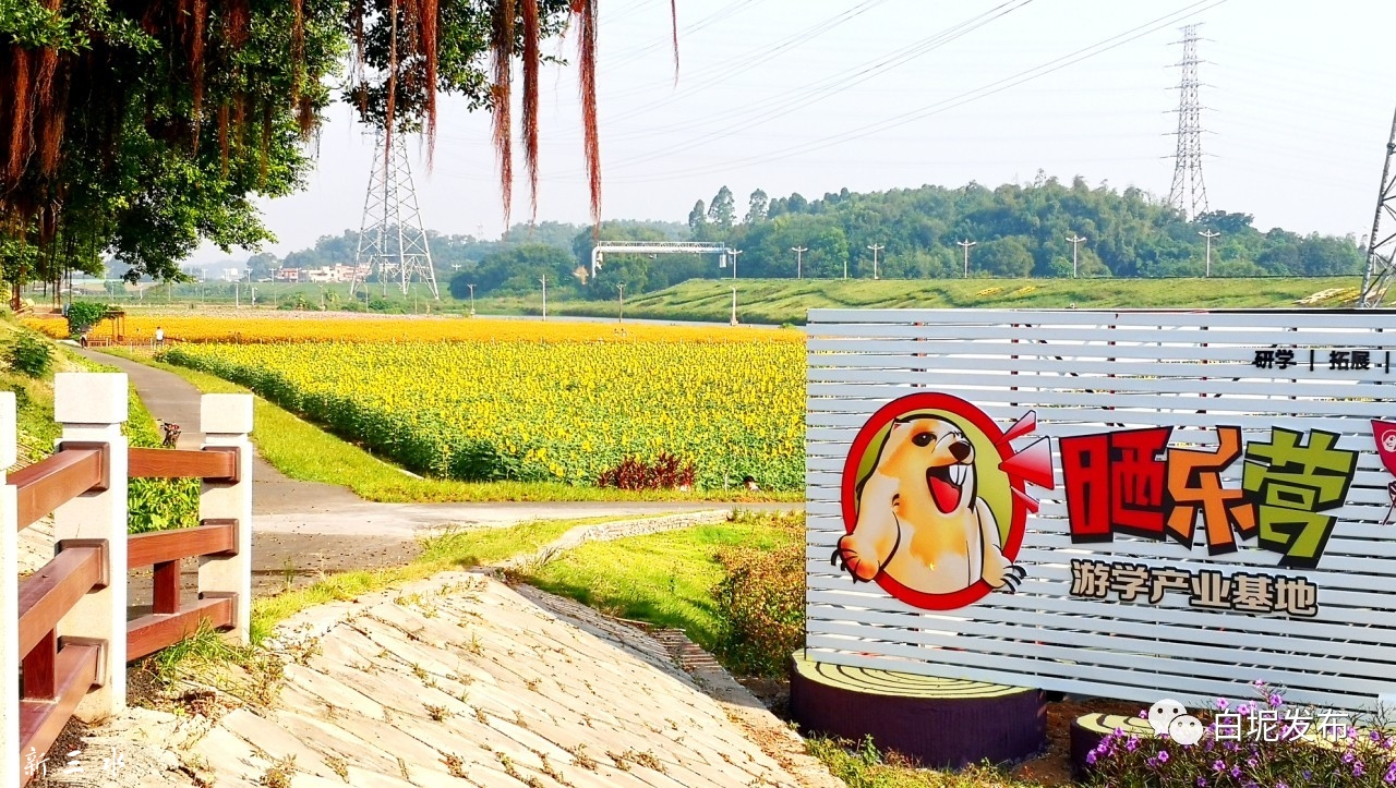 ad7f41dc88c3d782e701d6430b2c90d4.jpg