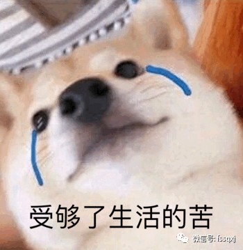 cee2ba0e6f74baa741e3181593fbc8ee.jpg