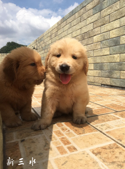 QQ截图20190319162605 - 副本.png