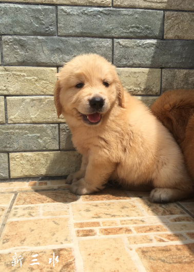 QQ截图20190906143938 - 副本.png