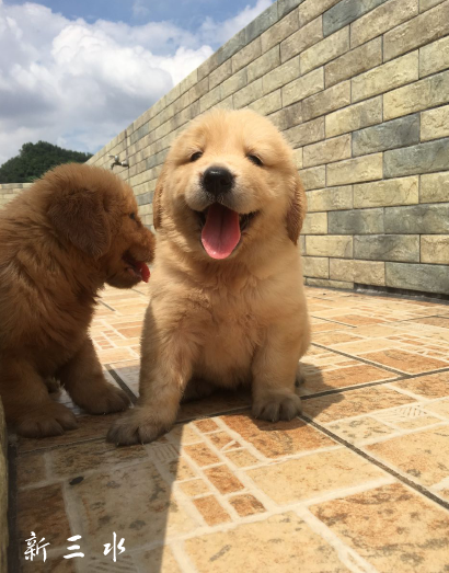QQ截图20190906143948 - 副本.png