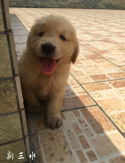 QQ截图20190906144002.png