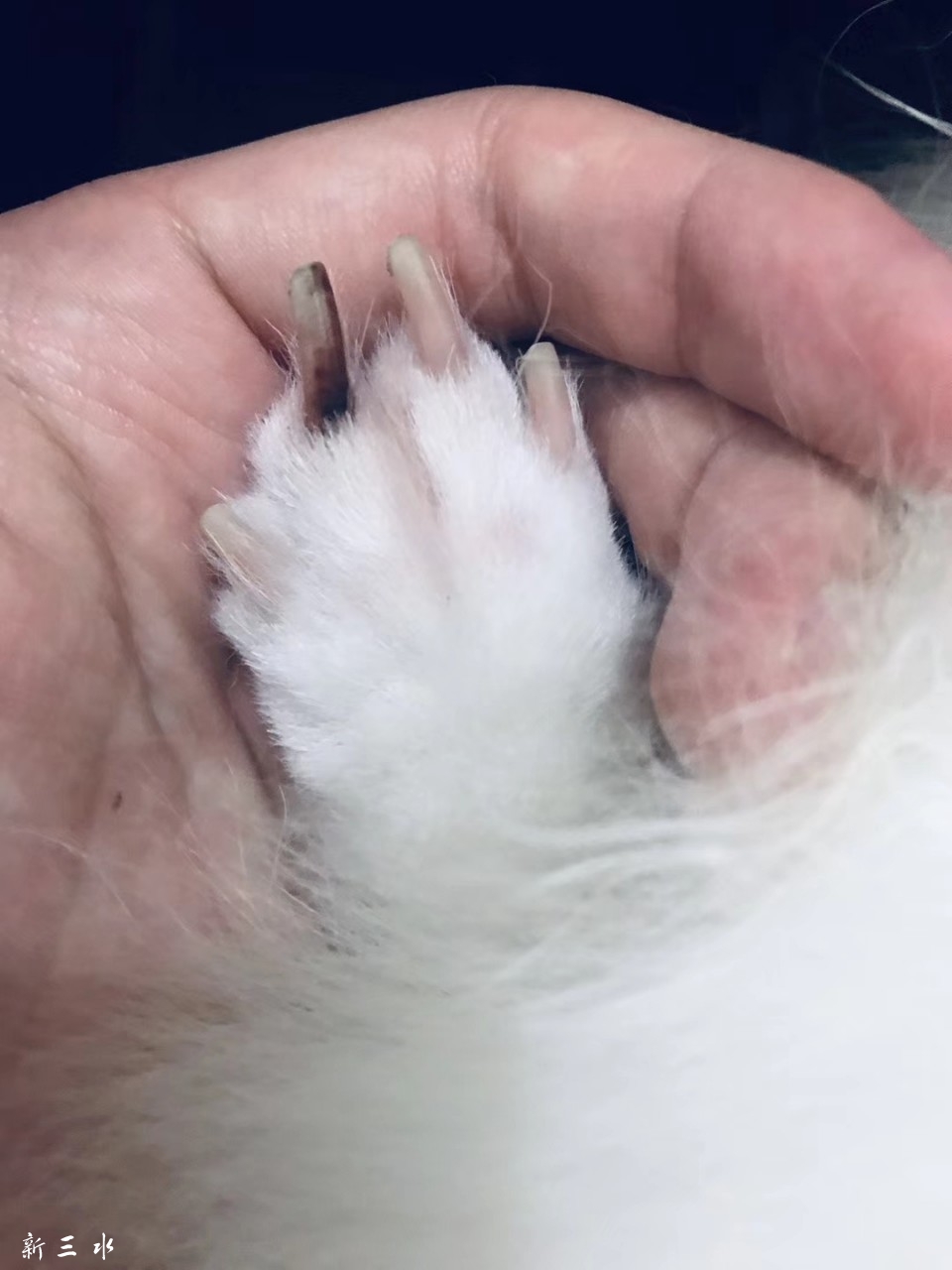 20191128_201503_1574901563747.jpg