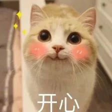 be39af6b7e90698c848ef6c0e01b16e8.jpg