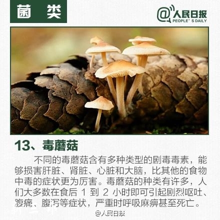 1e869143a455132af0cf7dfc04e86688.jpg