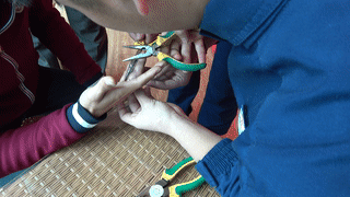 ca32cd80cc356f5d6de19a0b306451af.gif