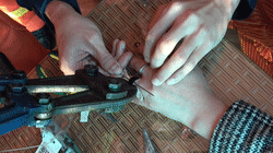 5b9a7d98ef46cf86574d68b28f2ade53.gif