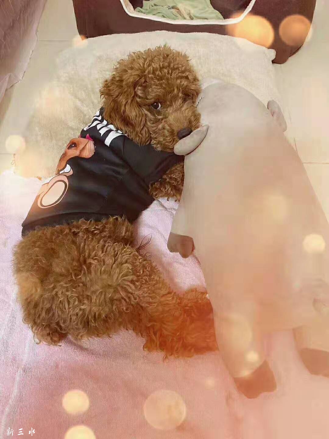 微信图片_20191221124014.jpg