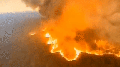 1.gif