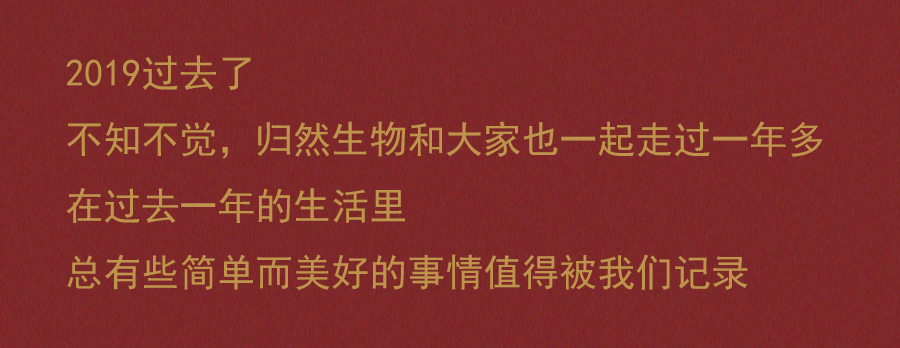 20200109推文图_01.jpg