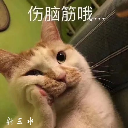 2467a191c3d6444b2bc07b3efb8ec51d.jpg
