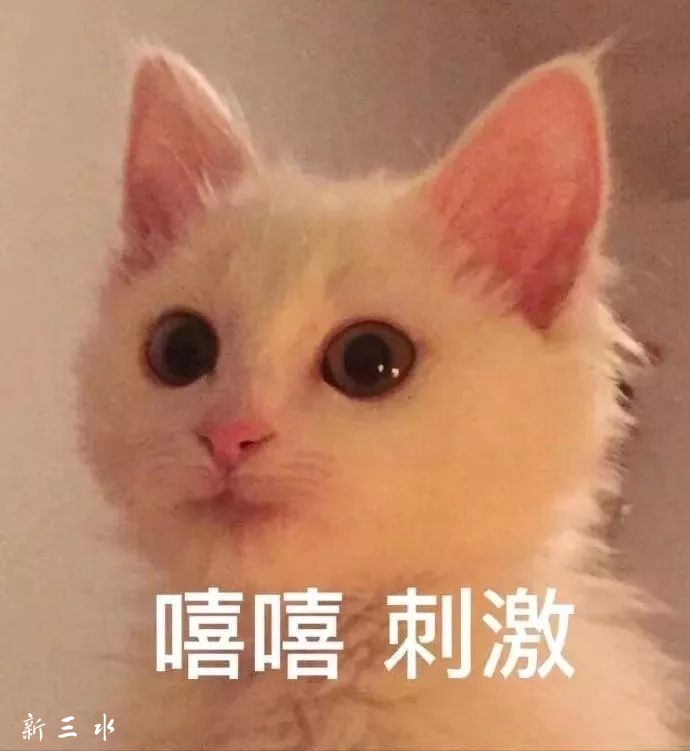 64fb22e2e3bb93908a1bd10bf504ce7f.jpg