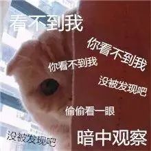 3138d06a09f3dd1b4ecbb72bb59e7f76.jpg