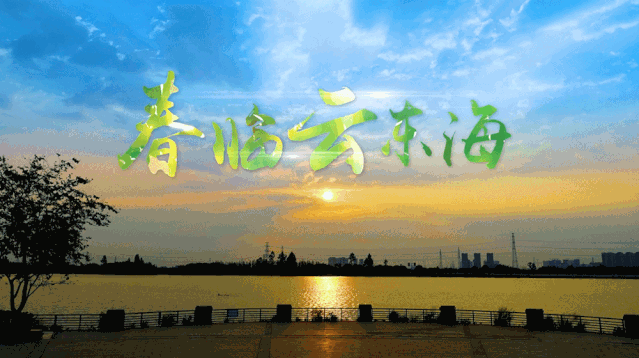 dd310ee46b32bab126e2edf4967a56c2.gif