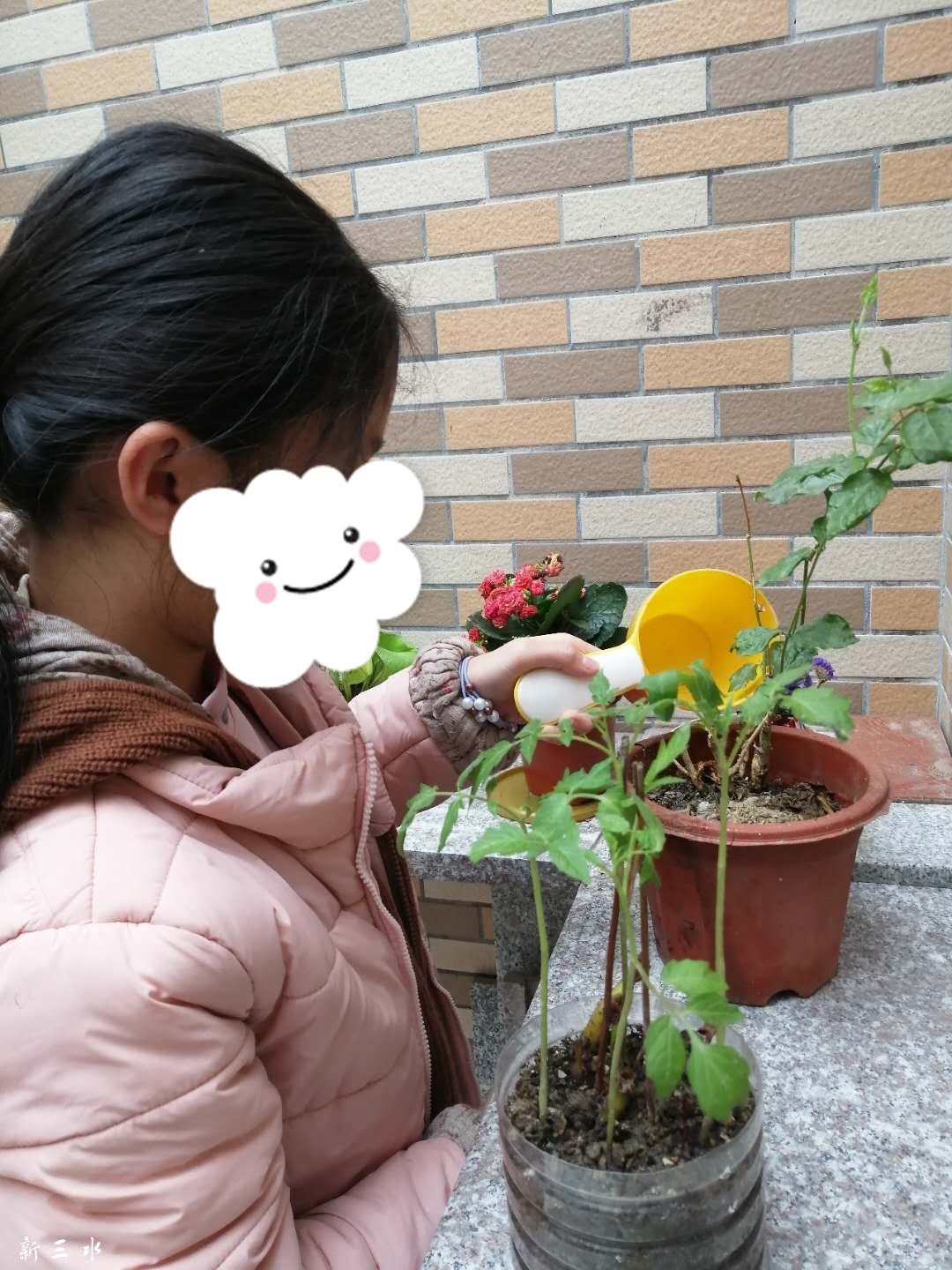 浇水图_副本.jpg