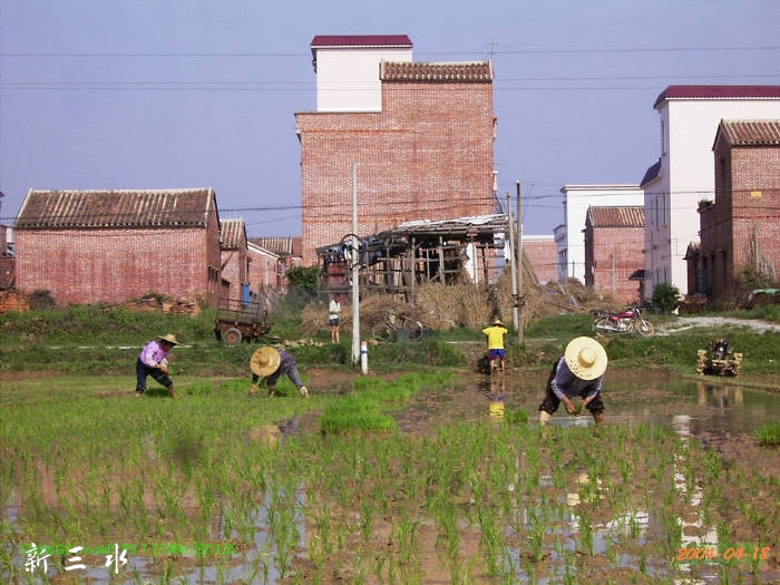 015111ellql5g3na1ljcu1.jpg