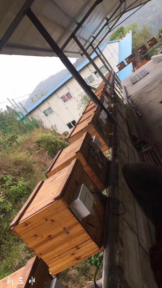 ���ܷ���ʵ����