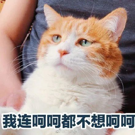 9f4e5c36b3d9a6d6a5eac67793d8b0da.jpg
