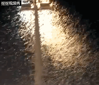 a33f25c096f2c9143c82d75575443070.gif
