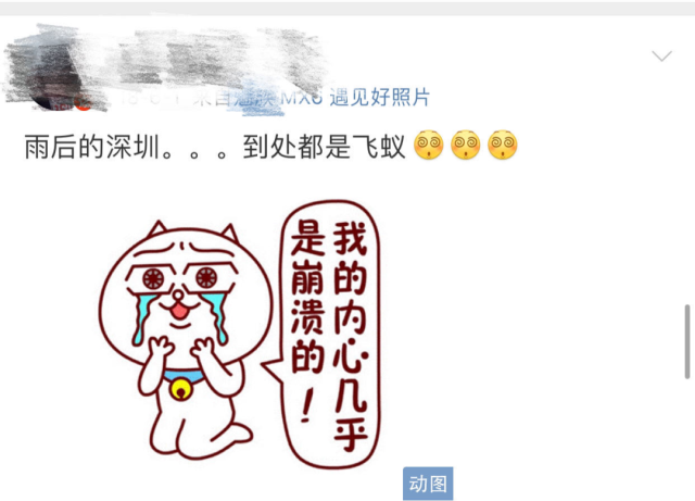 6779d3d1f19b4a0b8e41a30827db717e.png