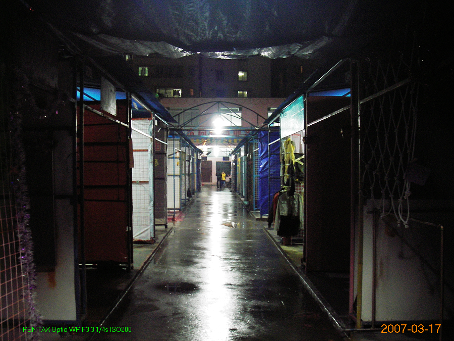 IMGP3935.jpg