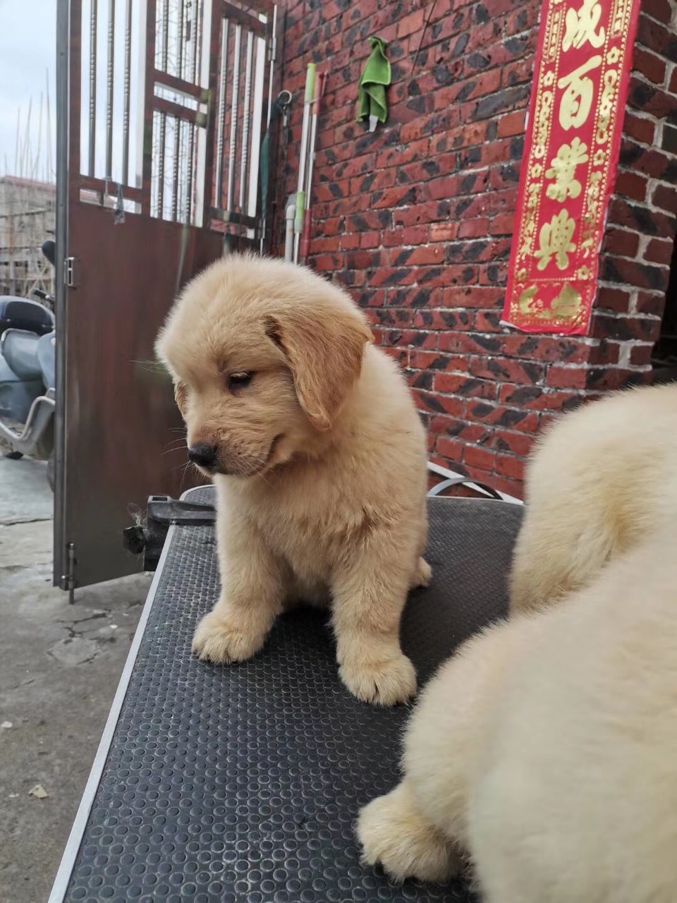 FsPGyu67YQMy6AG5XP6uVvyHtV47.jpg
