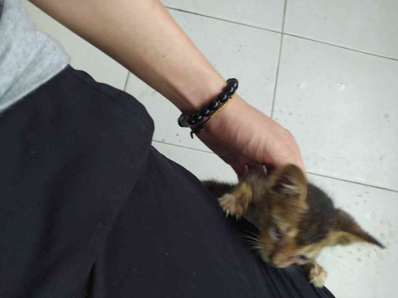 front2_FjZqcqe6g3CK4QNtma-1ziJc51Hn.jpg