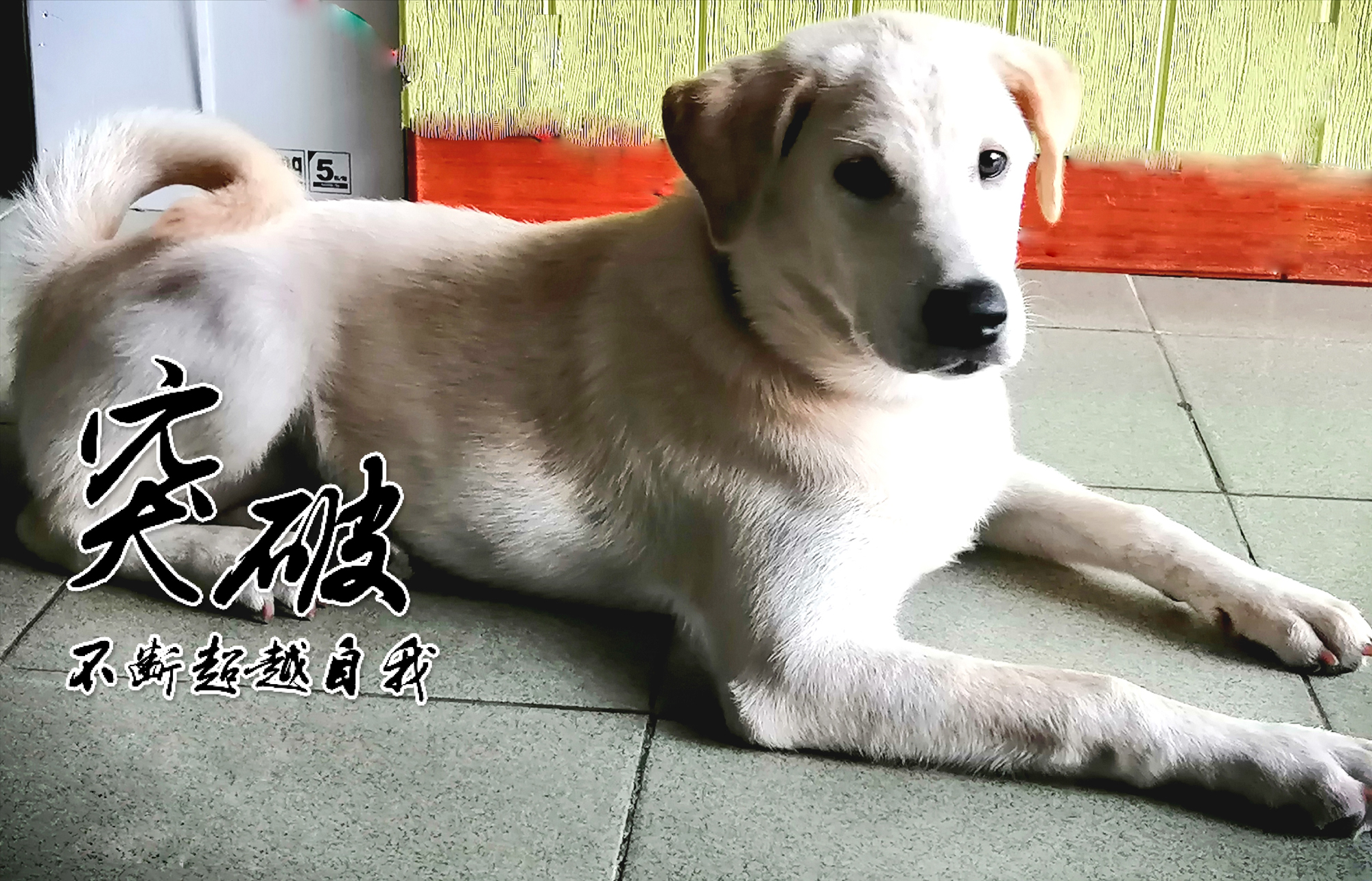 QQ图片20200805144126.jpg