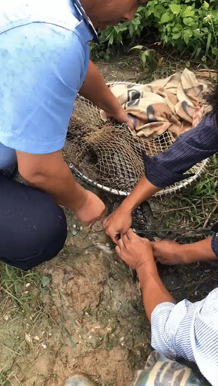 a0cf12a623cce9767484bc7560859eec.gif