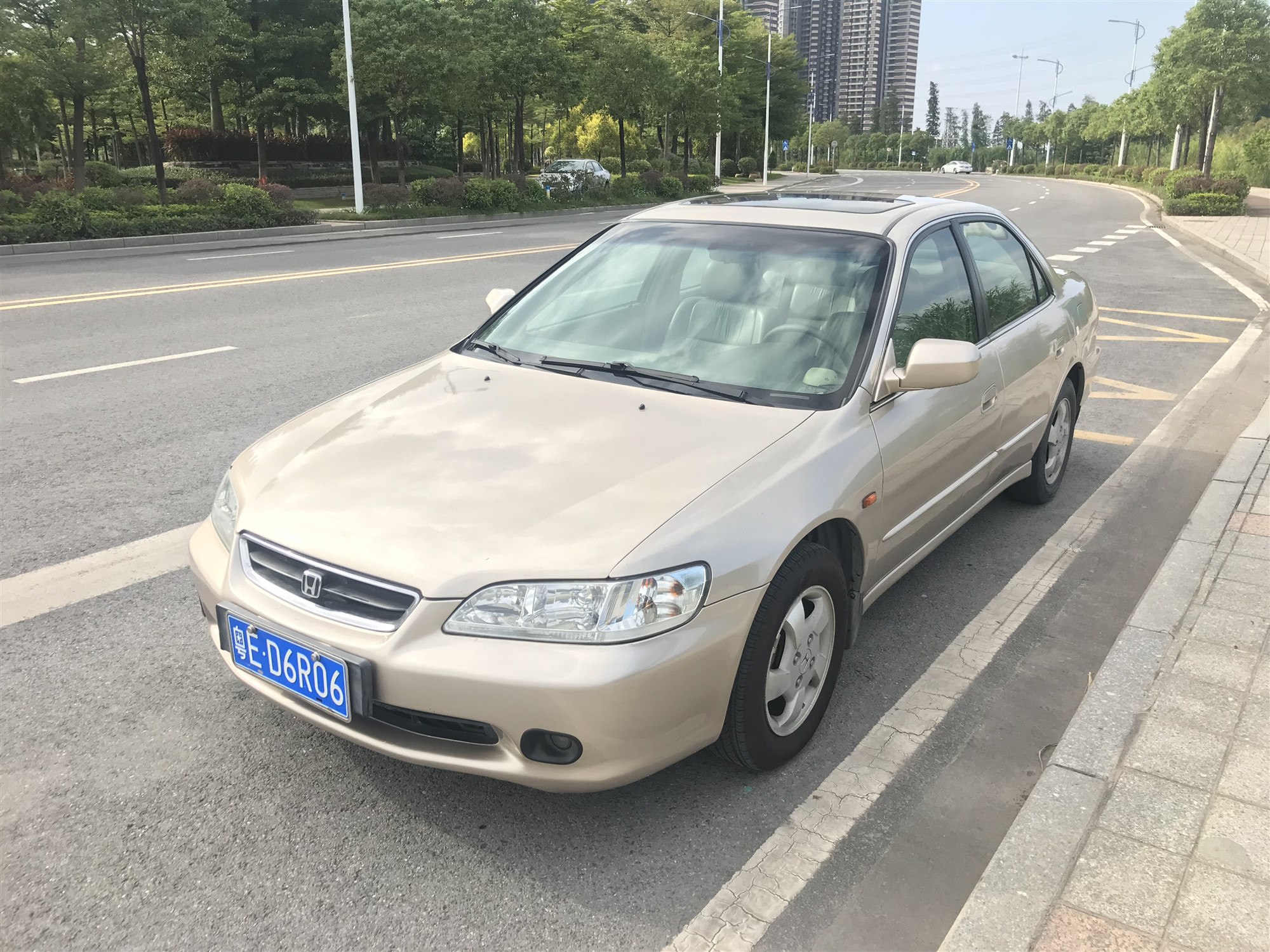 IMG_7375_副本.jpg