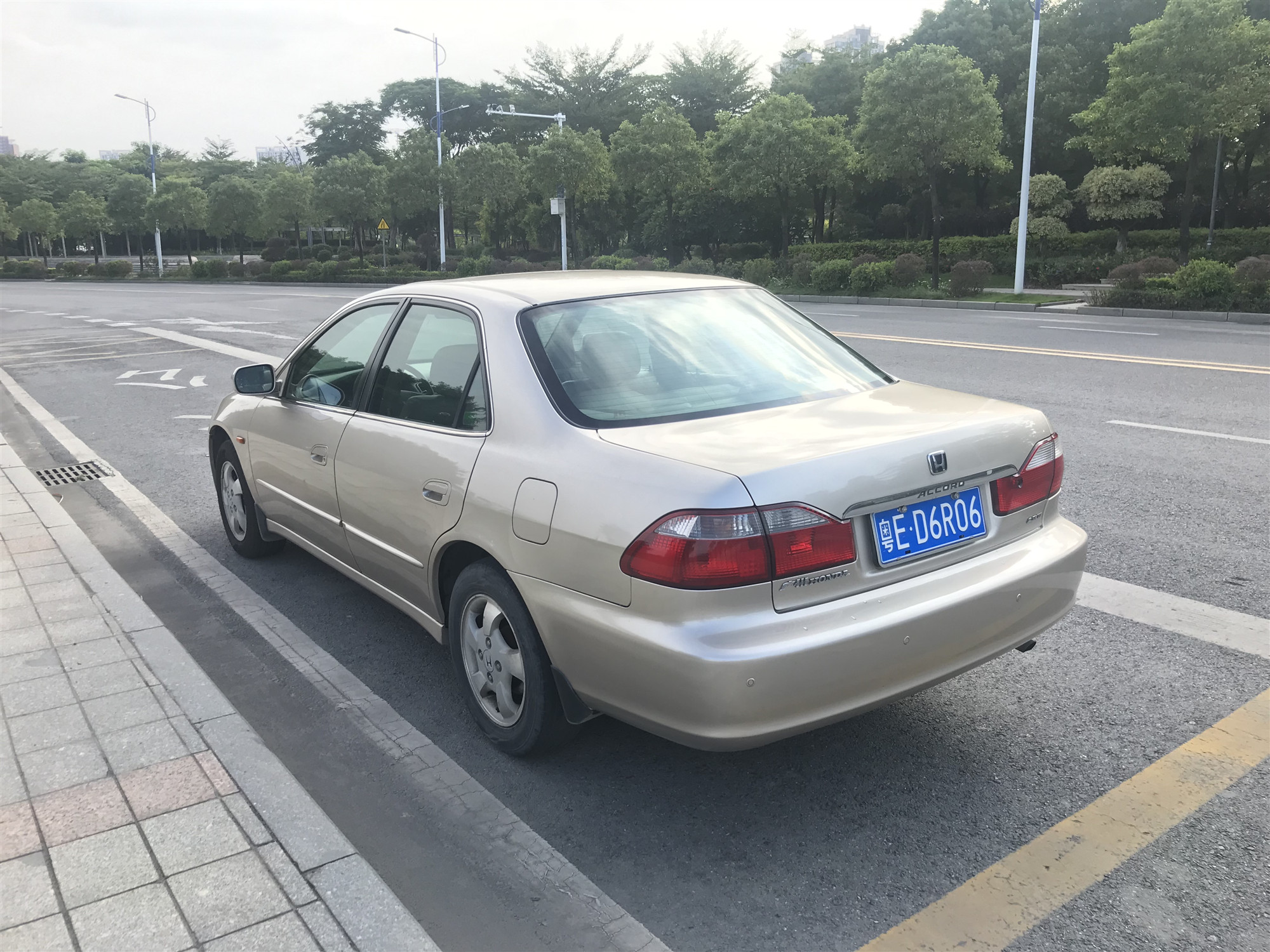 IMG_7407_副本.jpg