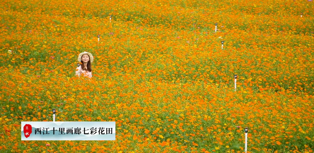 e993a4d169b38db602a8351852fa1825.png