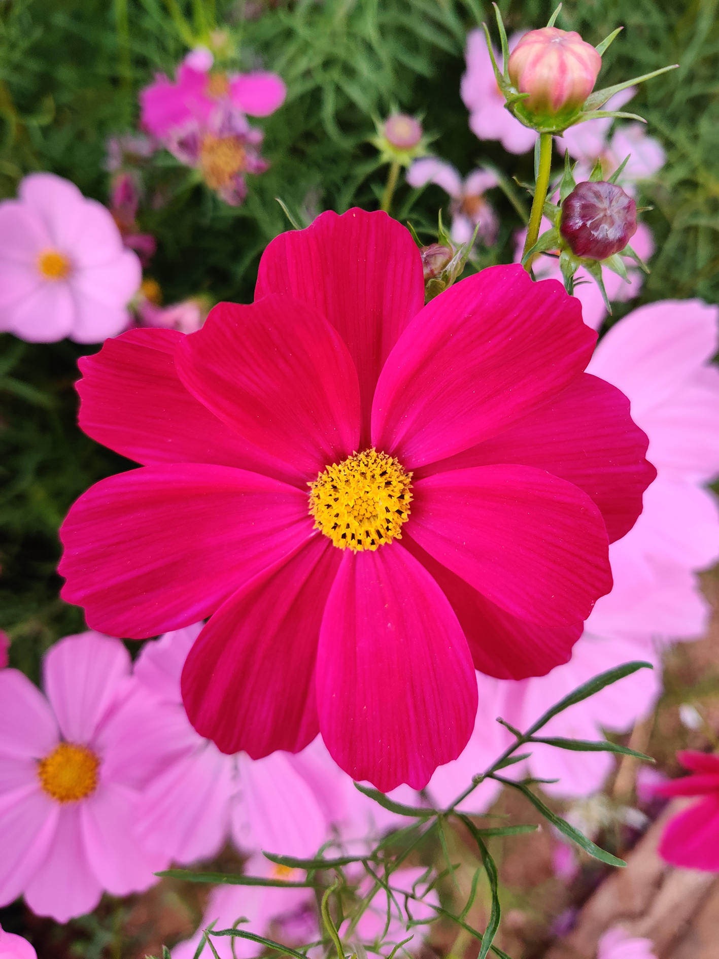 IMG_20201025_141351（1）.jpg