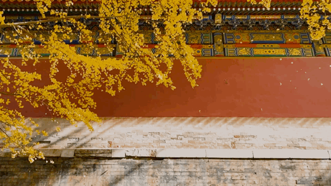 2fcff3e14fde2fd85c928d3e3e326ad3.gif