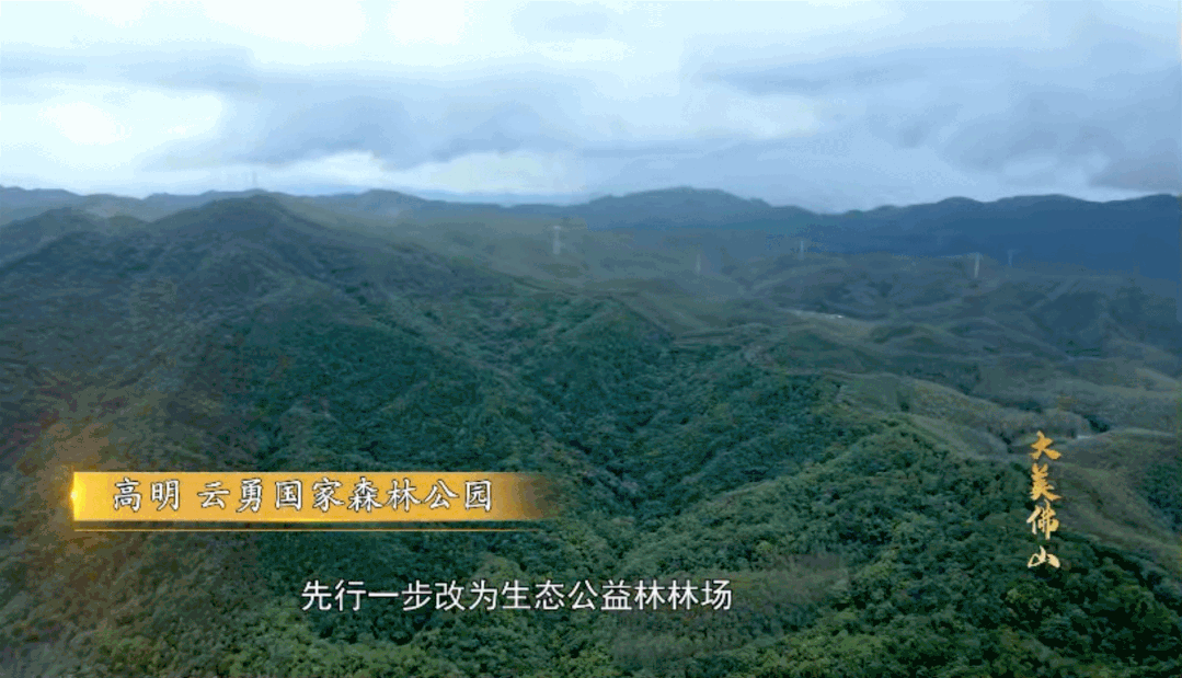 da8c97e4cce18d1044086f68d13c9b7e.gif