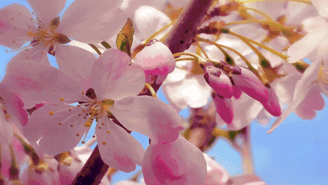b386e2de7d105b50f3cdcafecdbed3ad.gif