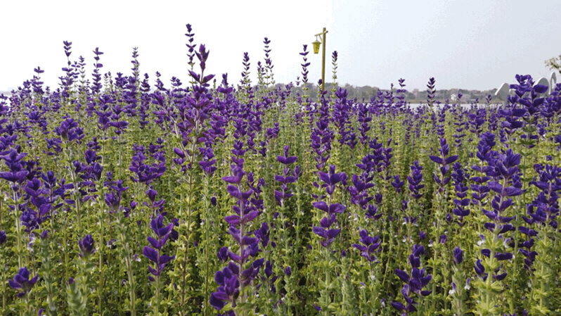 db7cfaef7ed98f89bc251df351c6625c.gif