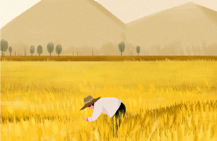 8a2f8292512b51c5870c77a3c4d4c5f2.png