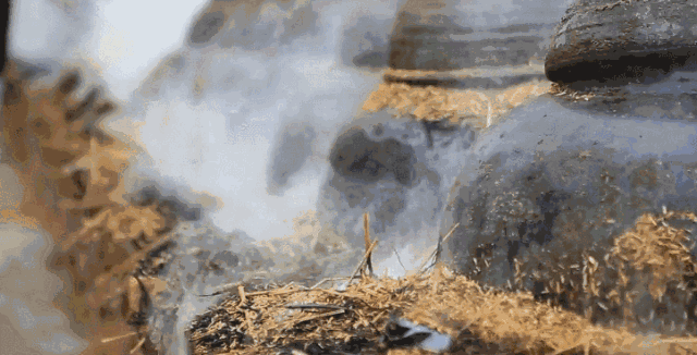 微信图片_20200517131632.gif