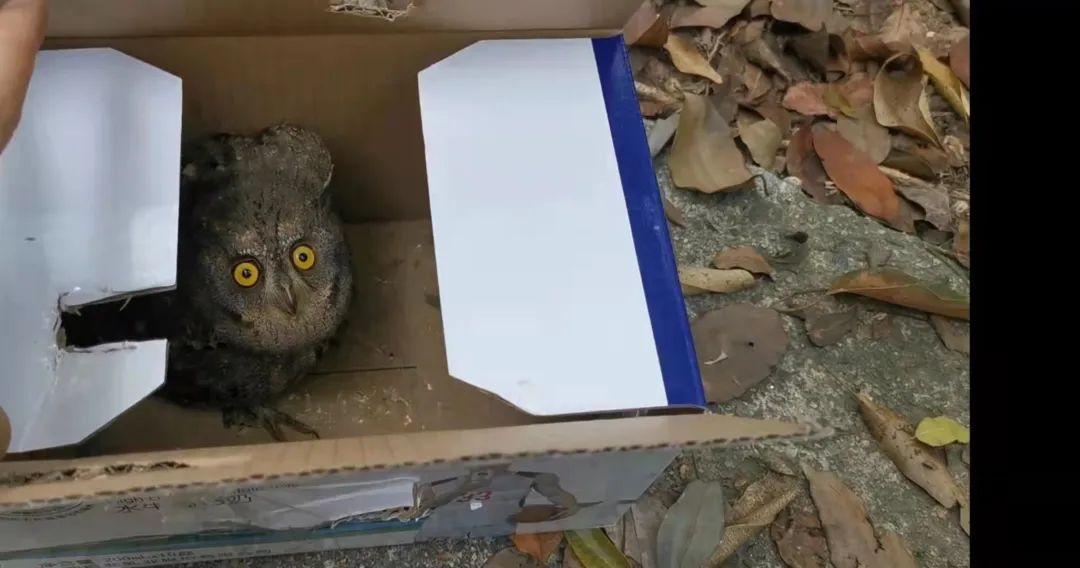 fe12e0e60c072d474b4c6eace304d406.jpg fe12e0e60c072d474b4c6eace304d406.jpg