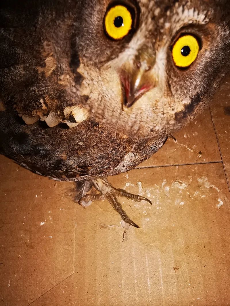 b853b9c887ef3837dc125cfbed31da42.jpg b853b9c887ef3837dc125cfbed31da42.jpg